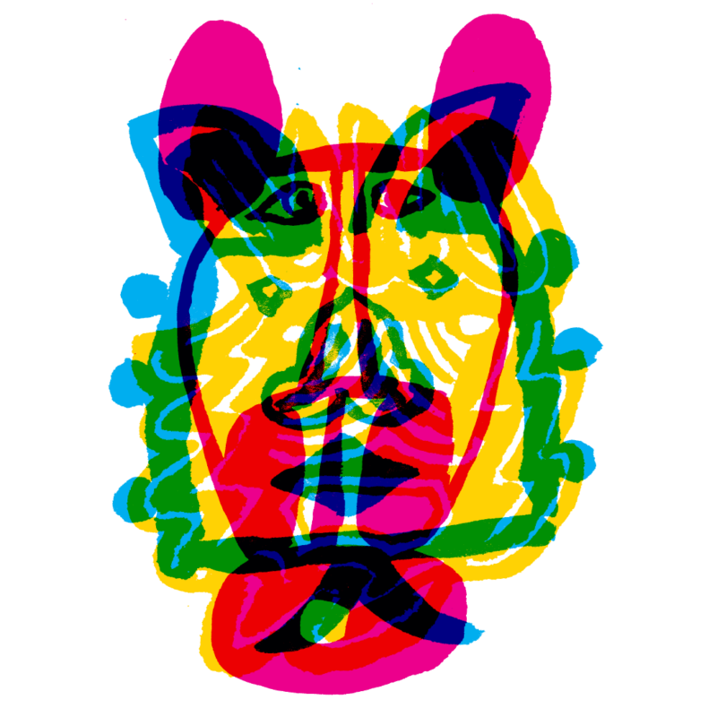 IFDP24_by_Cisneros-0-opening